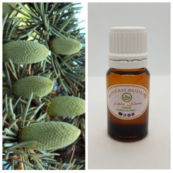 46 Essential oil resin Lebanese cedar (cypress) Cypressus Funebris, 10 ml